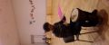 CAM00454