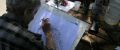 start art vani 2