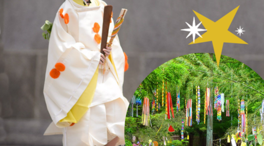 TISUĆU ŽELJA ZA BOLJE SUTRA – FESTIVAL ZVIJEZDA (STAR FEST)