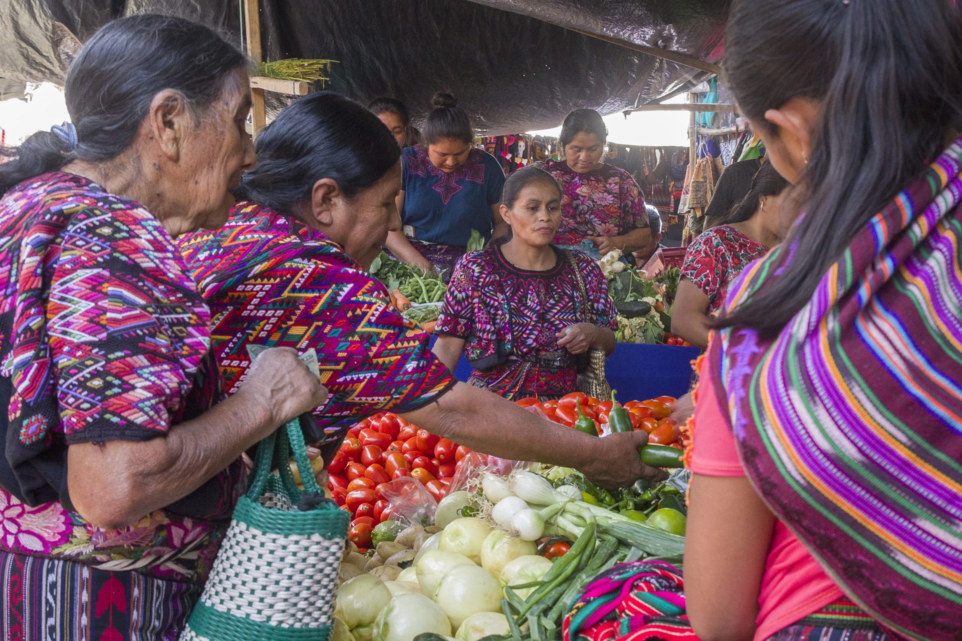 PUTNIČKA KLASA/Martina Divić: “Priče iz Latinske Amerike” PUTNIČKA KLASA/Martina Divić: “Priče iz Latinske Amerike”