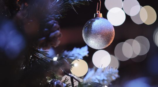 Sveta Lucija u Prečkom