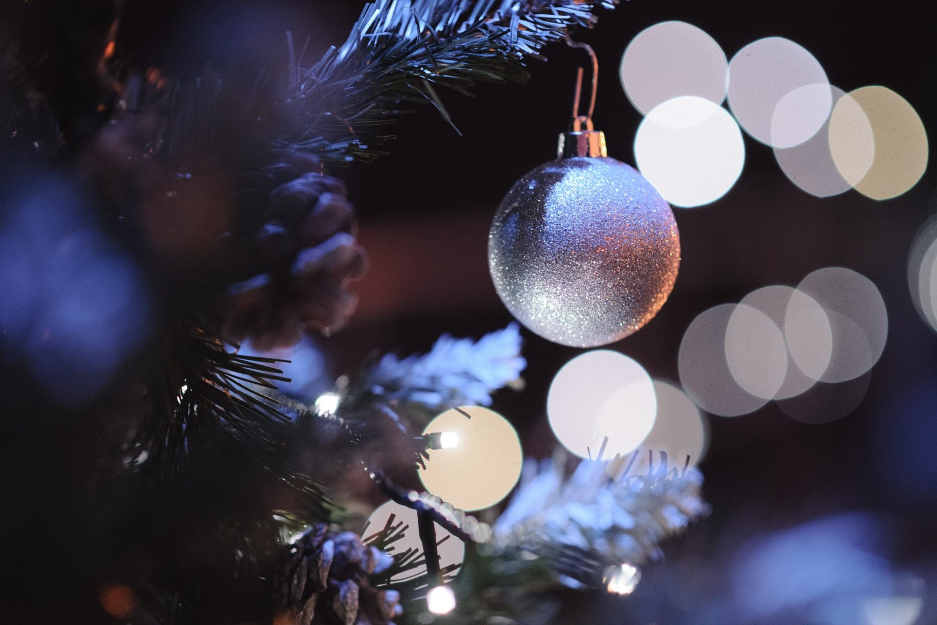 Sveta Lucija u Prečkom