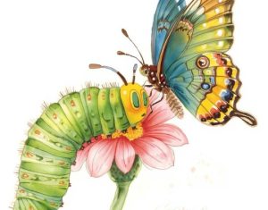 BeboKaz u gostima: Gusjenica i leptir