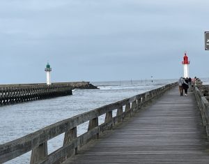 Punička klasa IP / “Metropole i malena mjesta srca moga”, gošća: Staša Aras