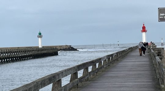 Punička klasa IP / “Metropole i malena mjesta srca moga”, gošća: Staša Aras