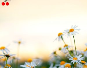 Ožujak 2026. – mjesečni raspored