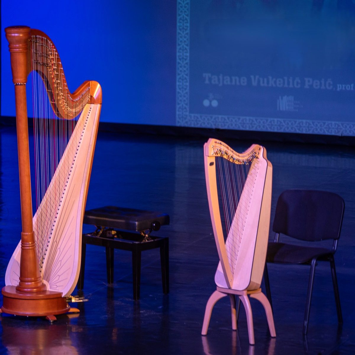 KULTURA U ZAJEDNICI / Radionice upoznavanja instrumenata KULTURA U ZAJEDNICI / Radionice upoznavanja instrumenata