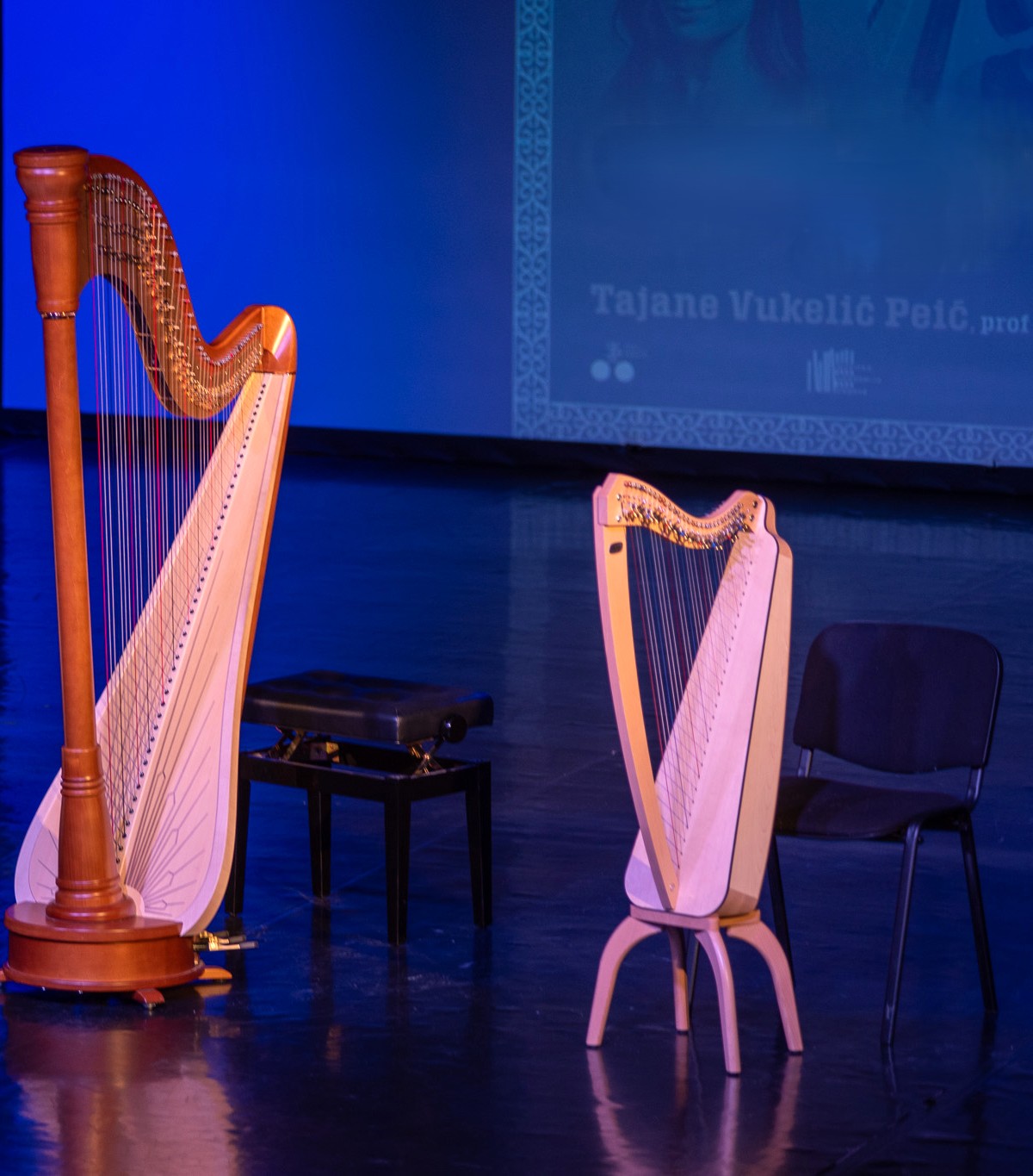 KULTURA U ZAJEDNICI / Radionice upoznavanja instrumenata