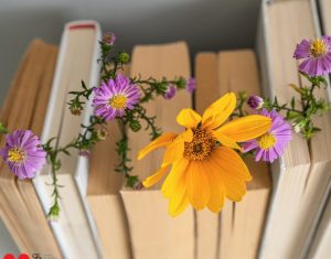 Aspekti nevidljivog: Knjižničari kao (ne)vidljivi književni junaci