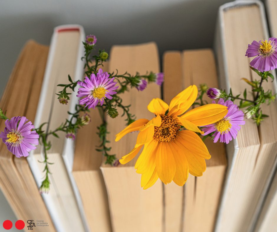 Aspekti nevidljivog: Knjižničari kao (ne)vidljivi književni junaci