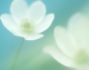 SVIBANJ 2026. – PROGRAM